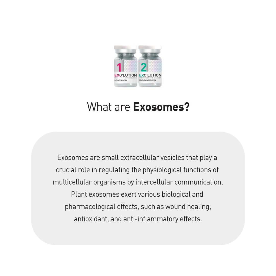 Graphic explaining exosomes: small extracellular vesicles that regulate physiological functions through intercellular communication, with plant exosomes offering wound healing, antioxidant, and anti-inflammatory benefits
