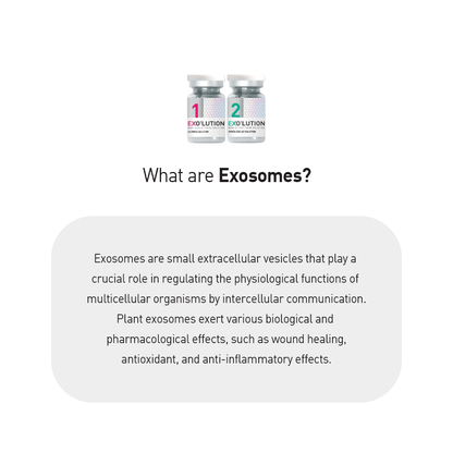 Graphic explaining exosomes: small extracellular vesicles that regulate physiological functions through intercellular communication, with plant exosomes offering wound healing, antioxidant, and anti-inflammatory benefits
