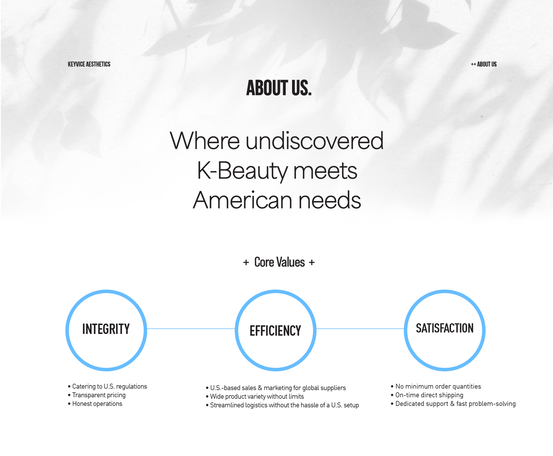 Corporate introduction slide of Keyvice USA with text about K-Beauty and American needs, featuring the words 'Integrity', 'Efficiency', and 'Satisfaction' and explanation on how Keyvice achieves them